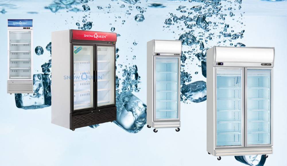 Tủ đông siêu thị mini và những điều cần biết