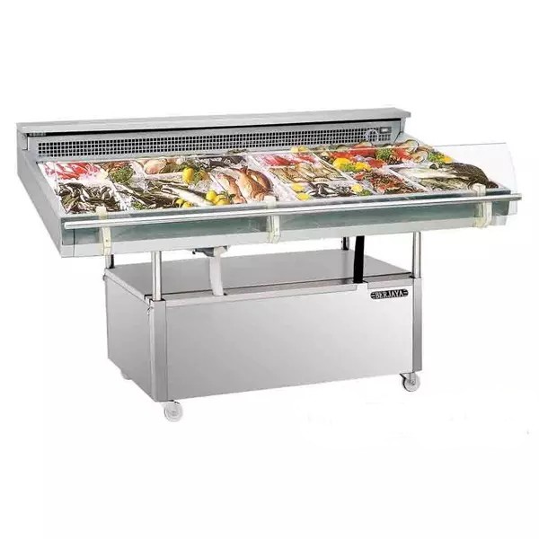 Tủ mát trưng bày thịt cá đông lạnh Berjaya FDC6
